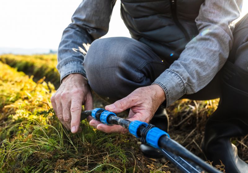 Water Line Repair detail